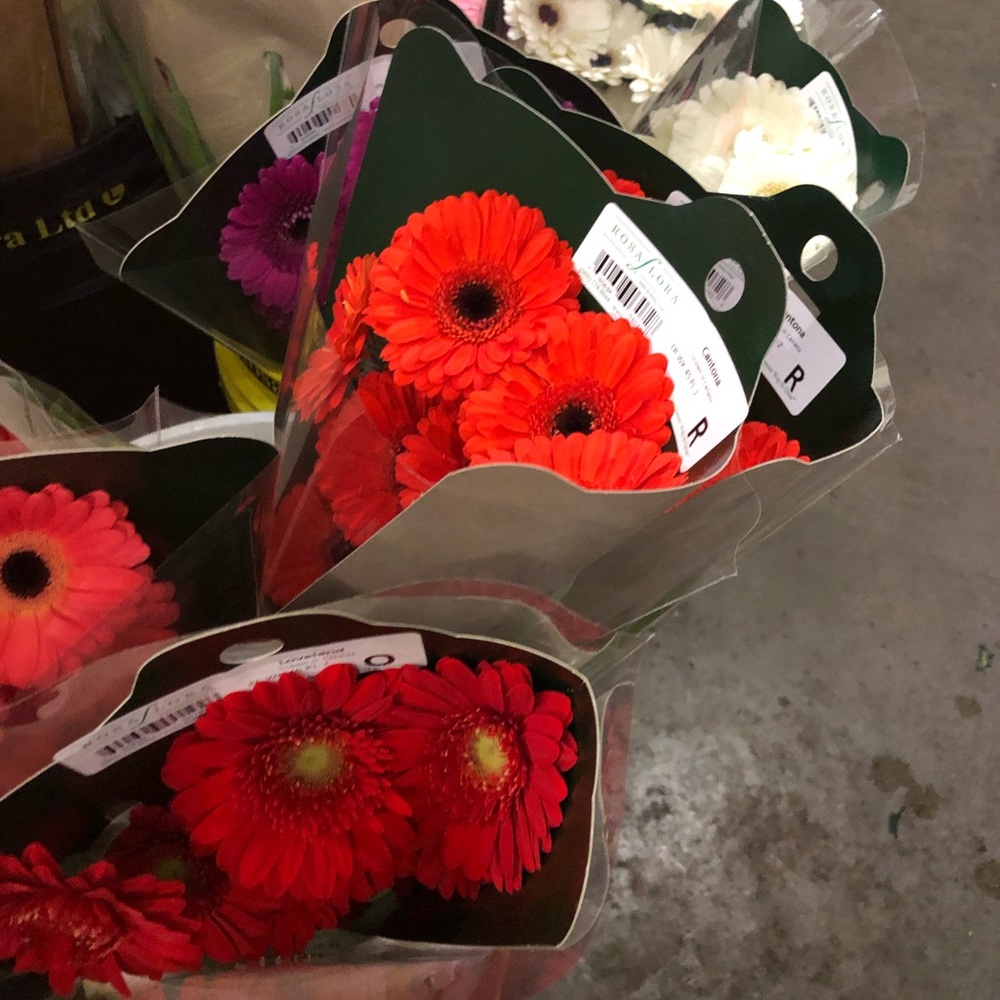 Meet your Posher, Jane